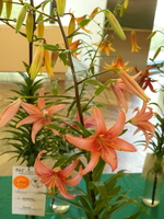 Foto: Dr. Peter Müller